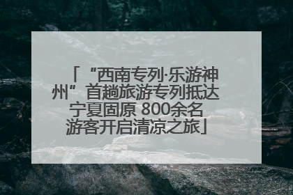 “西南专列·乐游神州”首趟旅游专列抵达宁夏固原 800余名游客开启清凉之旅