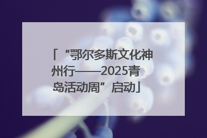 “鄂尔多斯文化神州行——2025青岛活动周”启动