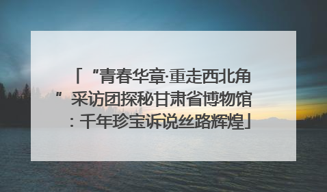 “青春华章·重走西北角”采访团探秘甘肃省博物馆：千年珍宝诉说丝路辉煌