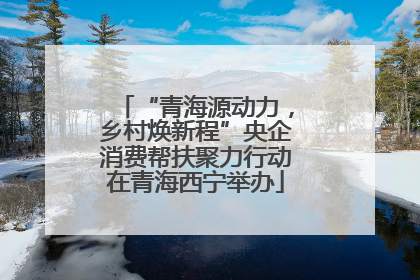 “青海源动力，乡村焕新程”央企消费帮扶聚力行动在青海西宁举办