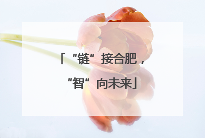 “链”接合肥，“智”向未来