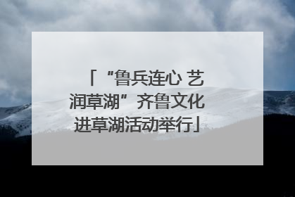 “鲁兵连心 艺润草湖”齐鲁文化进草湖活动举行