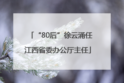 “80后”徐云涌任江西省委办公厅主任