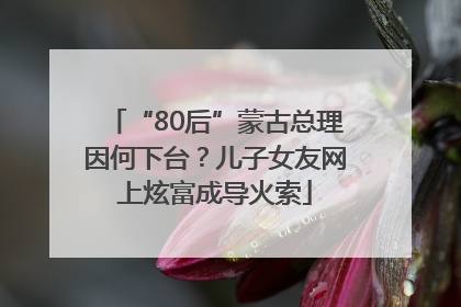 “80后”蒙古总理因何下台？儿子女友网上炫富成导火索