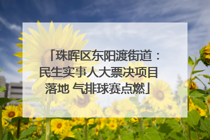 珠晖区东阳渡街道：民生实事人大票决项目落地 气排球赛点燃
