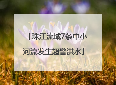 珠江流域7条中小河流发生超警洪水