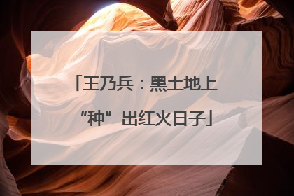 王乃兵：黑土地上“种”出红火日子
