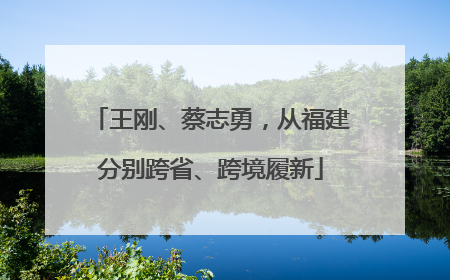 王刚、蔡志勇，从福建分别跨省、跨境履新