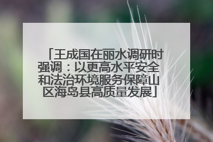 王成国在丽水调研时强调：以更高水平安全和法治环境服务保障山区海岛县高质量发展