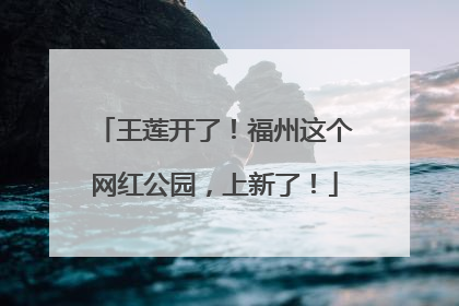 王莲开了！福州这个网红公园，上新了！
