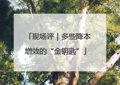 现场评｜多些降本增效的“金钥匙”