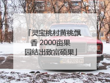 灵宝桃村黄桃飘香 2000亩果园结出致富硕果