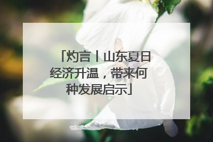 灼言丨山东夏日经济升温，带来何种发展启示
