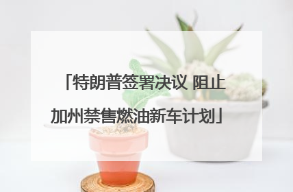 特朗普签署决议 阻止加州禁售燃油新车计划