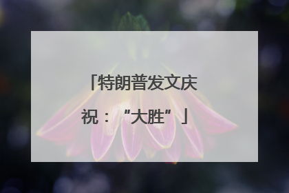 特朗普发文庆祝：“大胜”