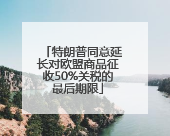 特朗普同意延长对欧盟商品征收50%关税的最后期限