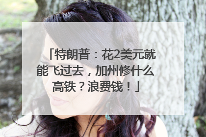 特朗普：花2美元就能飞过去，加州修什么高铁？浪费钱！
