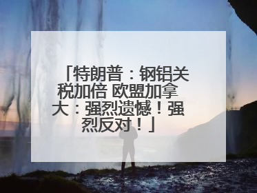 特朗普：钢铝关税加倍 欧盟加拿大：强烈遗憾！强烈反对！