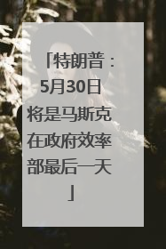 特朗普：5月30日将是马斯克在政府效率部最后一天
