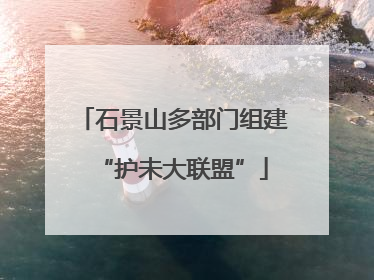 石景山多部门组建“护未大联盟”