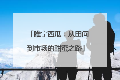 睢宁西瓜：从田间到市场的甜蜜之路