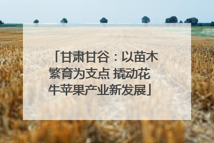 甘肃甘谷：以苗木繁育为支点 撬动花牛苹果产业新发展