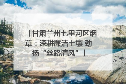 甘肃兰州七里河区烟草：深耕廉洁土壤 劲扬“丝路清风”