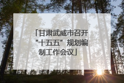 甘肃武威市召开“十五五”规划编制工作会议