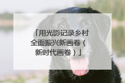 用光影记录乡村全面振兴新画卷（新时代画卷）