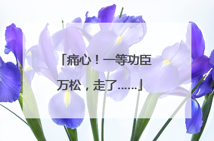 痛心！一等功臣万松，走了……