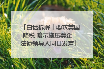 白话拆解丨要求美国降税 暗示施压美企 法德领导人同日发声