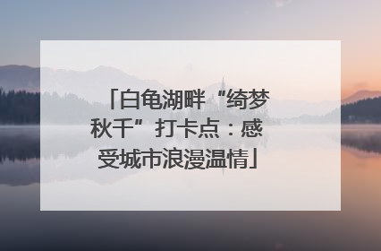 白龟湖畔“绮梦秋千”打卡点：感受城市浪漫温情