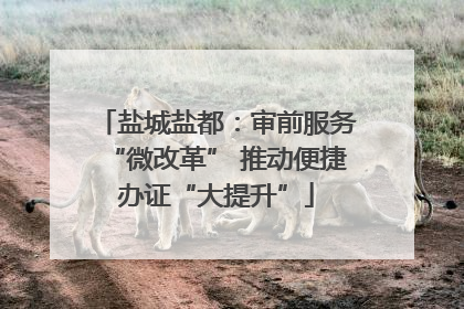盐城盐都：审前服务“微改革” 推动便捷办证“大提升”