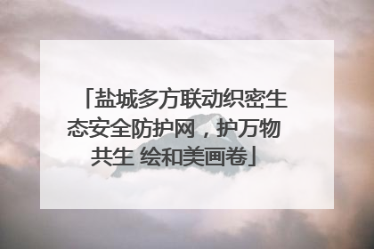 盐城多方联动织密生态安全防护网，护万物共生 绘和美画卷
