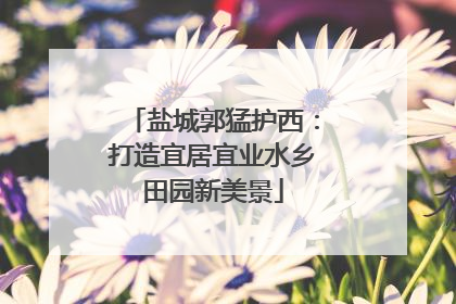 盐城郭猛护西：打造宜居宜业水乡田园新美景