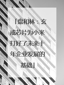 盘和林：玄戒芯片为小米打好了未来十年企业发展的基础