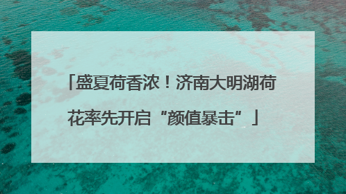 盛夏荷香浓！济南大明湖荷花率先开启“颜值暴击”