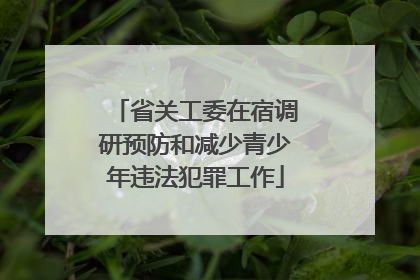 省关工委在宿调研预防和减少青少年违法犯罪工作