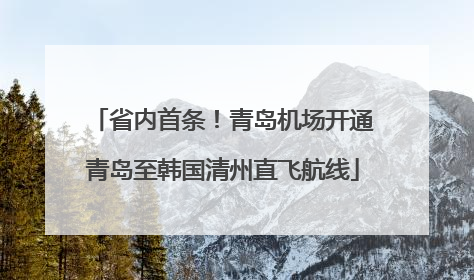省内首条！青岛机场开通青岛至韩国清州直飞航线