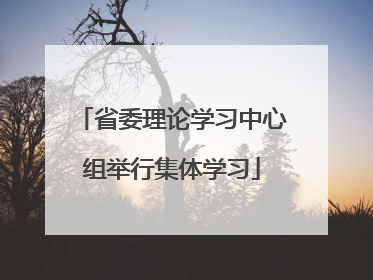 省委理论学习中心组举行集体学习