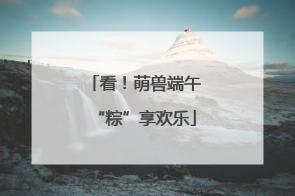 看！萌兽端午“粽”享欢乐