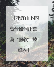 祁连山下的高台如何让荒漠“服软”披绿衣