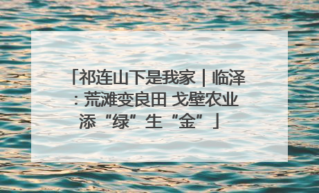 祁连山下是我家｜临泽：荒滩变良田 戈壁农业添“绿”生“金”