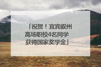 祝贺！宜宾叙州高场职校4名同学获得国家奖学金