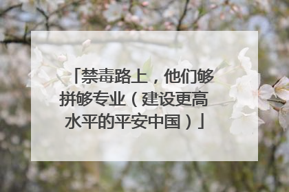 禁毒路上，他们够拼够专业（建设更高水平的平安中国）