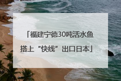 福建宁德30吨活水鱼搭上“快线”出口日本