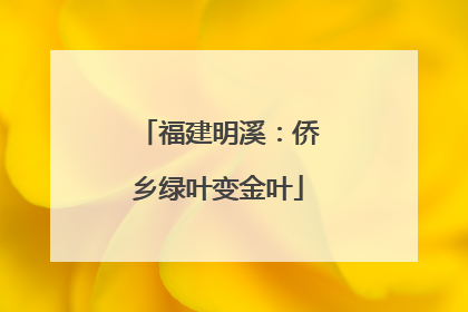 福建明溪：侨乡绿叶变金叶