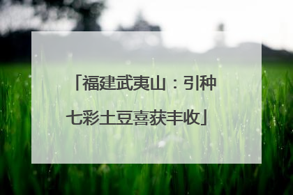福建武夷山：引种七彩土豆喜获丰收