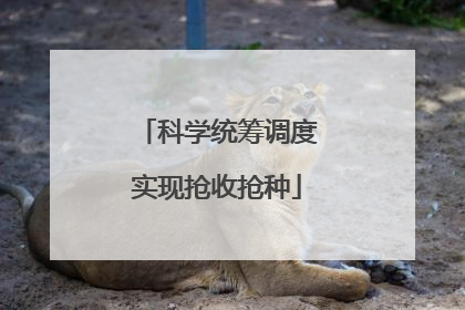 科学统筹调度实现抢收抢种