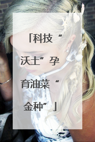 科技“沃土”孕育油菜“金种”